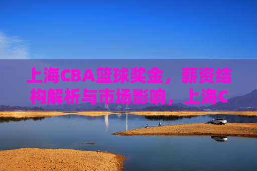 上海CBA篮球奖金，薪资结构解析与市场影响，上海CBA球队奖金与薪资结构解析，市场影响分析