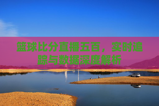 篮球比分直播五百,实时追踪与数据深度解析