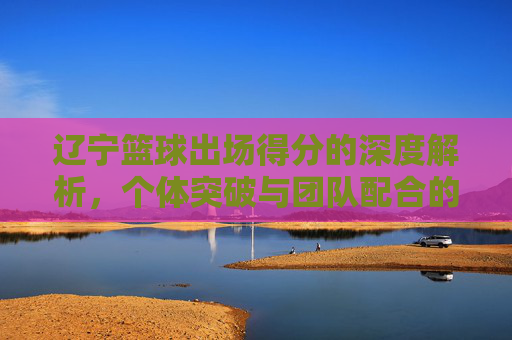 辽宁篮球出场得分的深度解析，个体突破与团队配合的平衡艺术