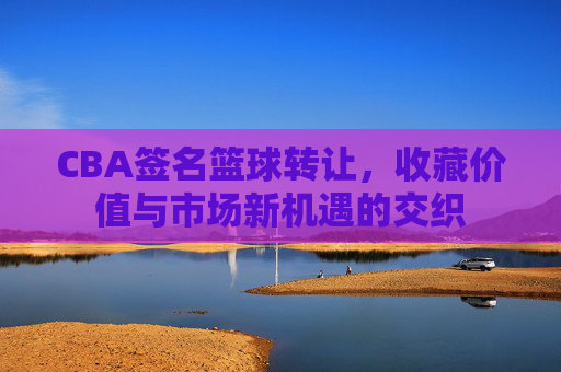 CBA签名篮球转让,收藏价值与市场新机遇的交织