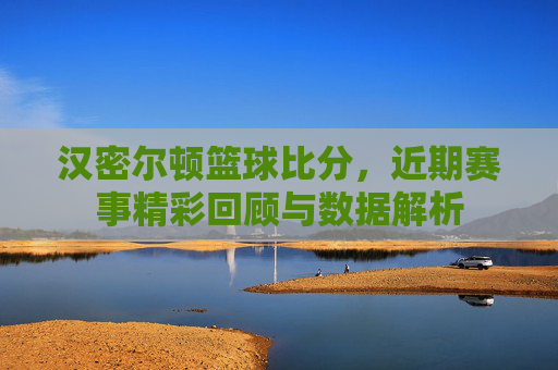 汉密尔顿篮球比分,近期赛事精彩回顾与数据解析