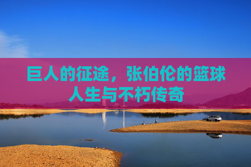 巨人的征途,张伯伦的篮球人生与不朽传奇