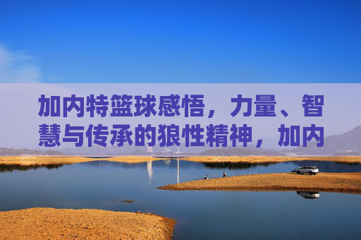 加内特篮球感悟，力量、智慧与传承的狼性精神，加内特篮球感悟，力量、智慧与传承的狼性精神