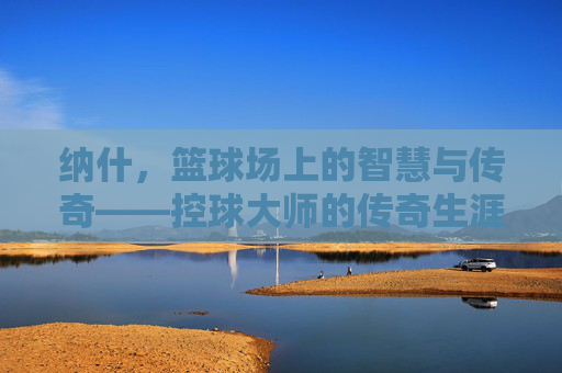 纳什,篮球场上的智慧与传奇——控球大师的传奇生涯,纳什,篮球场上的智慧与传奇——控球大师的传奇生涯