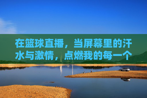 在篮球直播,当屏幕里的汗水与激情,点燃我的每一个心跳瞬间