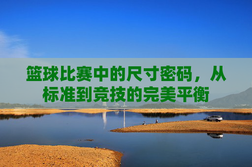 篮球比赛中的尺寸密码,从标准到竞技的完美平衡