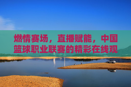 燃情赛场,直播赋能,中国篮球职业联赛的精彩在线观赛体验