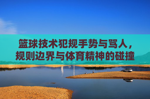 篮球技术犯规手势与骂人，规则边界与体育精神的碰撞