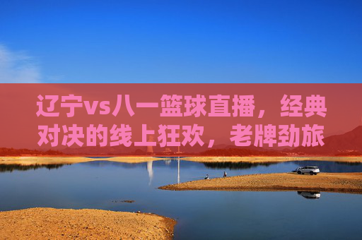 辽宁vs八一篮球直播,经典对决的线上狂欢,老牌劲旅的篮球传承