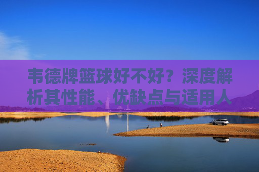 韦德牌篮球好不好？深度解析其性能、优缺点与适用人群