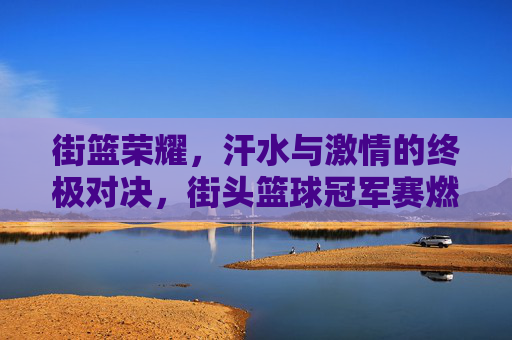 街篮荣耀,汗水与激情的终极对决,街头篮球冠军赛燃爆全场