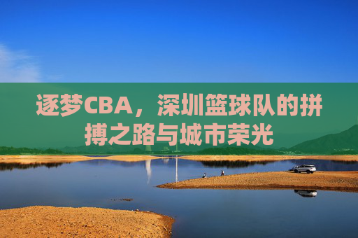逐梦CBA，深圳篮球队的拼搏之路与城市荣光