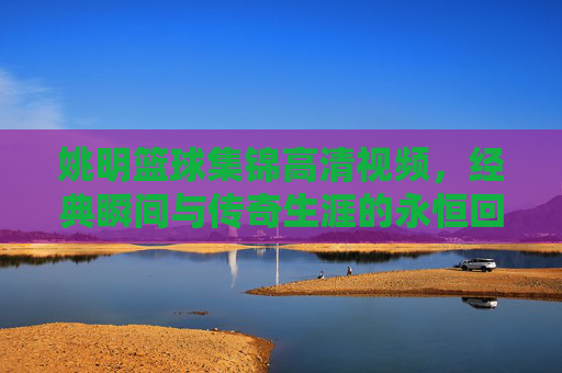 姚明篮球集锦高清视频，经典瞬间与传奇生涯的永恒回响