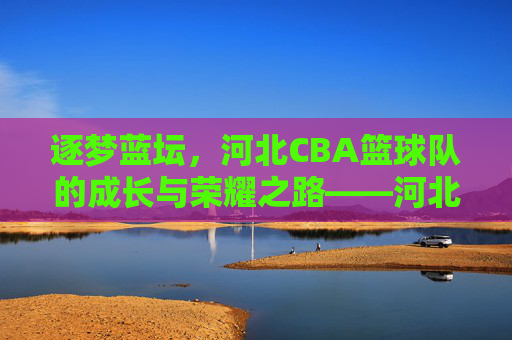逐梦蓝坛，河北CBA篮球队的成长与荣耀之路——河北雄狮的赛场征程与时代印记