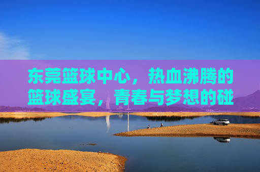 东莞篮球中心，热血沸腾的篮球盛宴，青春与梦想的碰撞