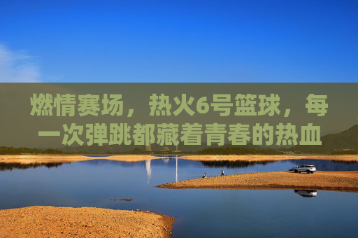 燃情赛场，热火6号篮球，每一次弹跳都藏着青春的热血与梦想