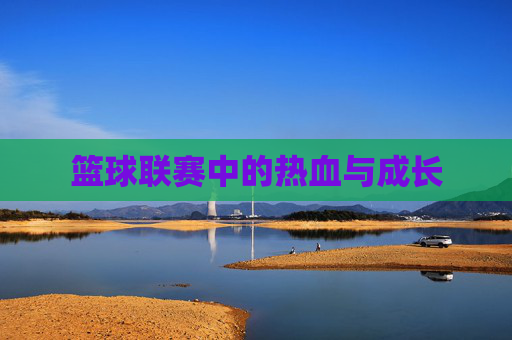 篮球联赛中的热血与成长