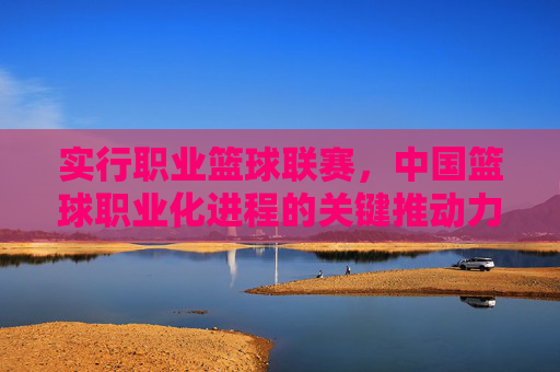 实行职业篮球联赛，中国篮球职业化进程的关键推动力