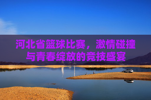 河北省篮球比赛，激情碰撞与青春绽放的竞技盛宴