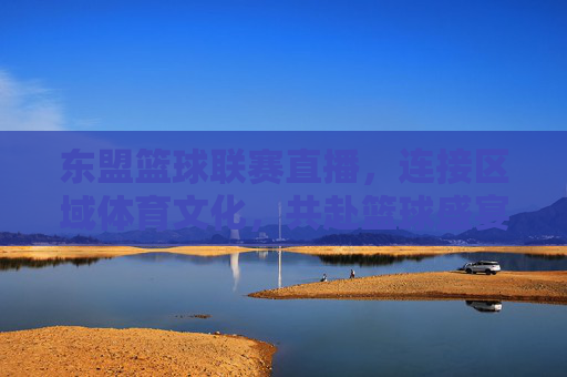 东盟篮球联赛直播，连接区域体育文化，共赴篮球盛宴，东盟篮球联赛直播，连接区域体育文化，共赴篮球盛宴