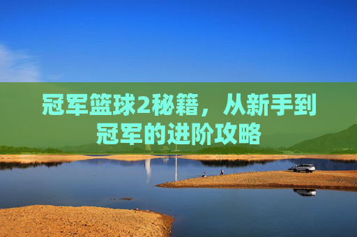 冠军篮球2秘籍，从新手到冠军的进阶攻略