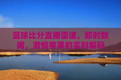 篮球比分直播雷速,即时数据,激情赛事的实时解码