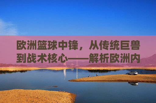 欧洲篮球中锋，从传统巨兽到战术核心——解析欧洲内线球员的多元魅力与时代变迁