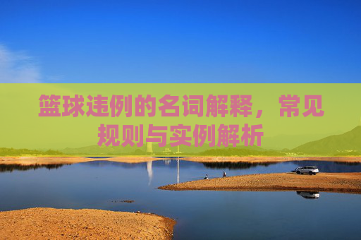 篮球违例的名词解释,常见规则与实例解析
