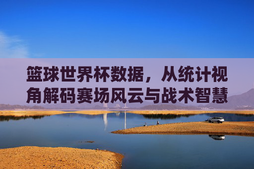 篮球世界杯数据,从统计视角解码赛场风云与战术智慧