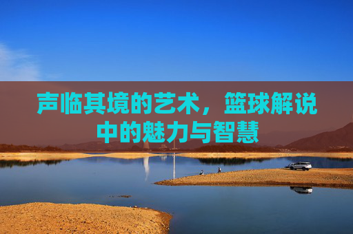 声临其境的艺术,篮球解说中的魅力与智慧