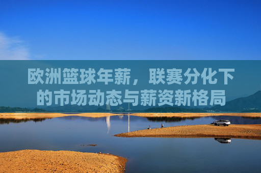 欧洲篮球年薪，联赛分化下的市场动态与薪资新格局