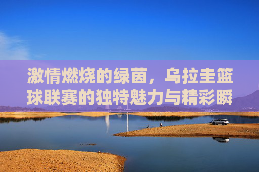 激情燃烧的绿茵,乌拉圭篮球联赛的独特魅力与精彩瞬间