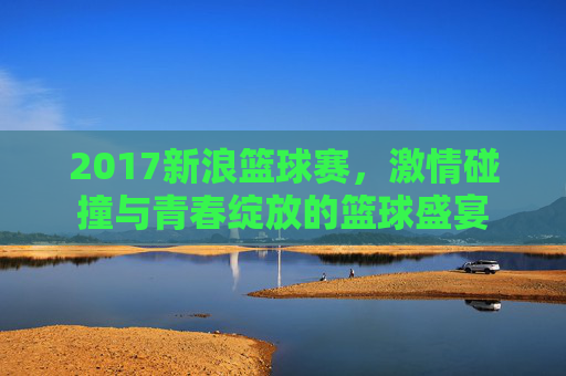 2017新浪篮球赛,激情碰撞与青春绽放的篮球盛宴