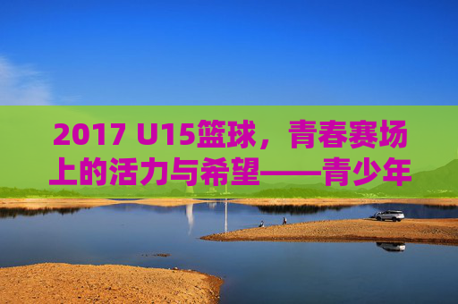 2017 U15篮球，青春赛场上的活力与希望——青少年篮球赛事的精彩回眸