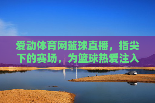 爱动体育网篮球直播，指尖下的赛场，为篮球热爱注入新活力