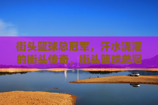 街头篮球总冠军,汗水浇灌的街头传奇,街头篮球总冠军,汗水浇灌的街头传奇