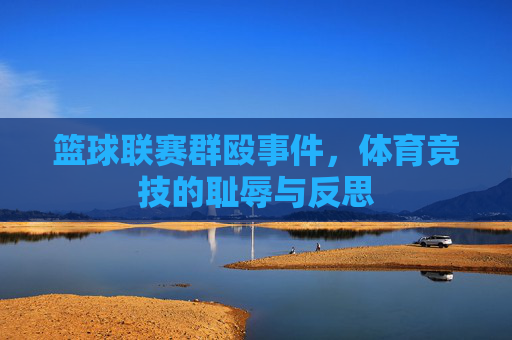 篮球联赛群殴事件，体育竞技的耻辱与反思