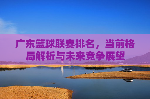 广东篮球联赛排名,当前格局解析与未来竞争展望