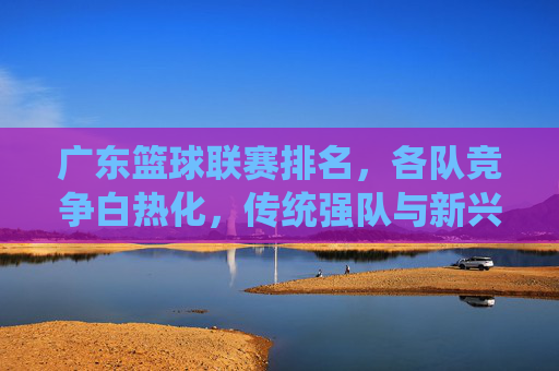 广东篮球联赛排名，各队竞争白热化，传统强队与新兴力量博弈分析