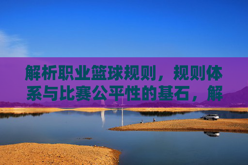 解析职业篮球规则，规则体系与比赛公平性的基石，解析职业篮球规则，规则体系与比赛公平性的基石