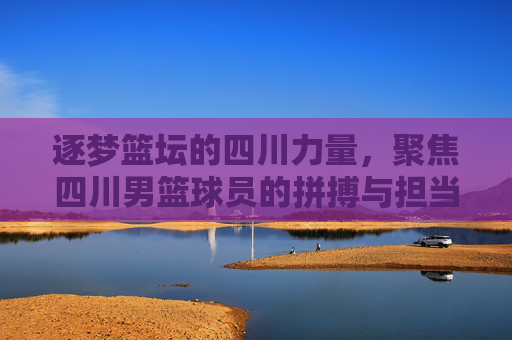 逐梦篮坛的四川力量,聚焦四川男篮球员的拼搏与担当
