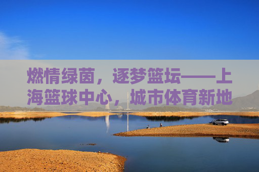 燃情绿茵，逐梦篮坛——上海篮球中心，城市体育新地标与篮球文化的活力枢纽