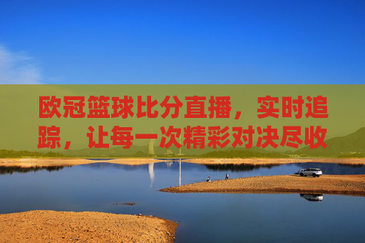 欧冠篮球比分直播,实时追踪,让每一次精彩对决尽收眼底,欧冠篮球比分直播实时追踪,精彩对决尽收眼底