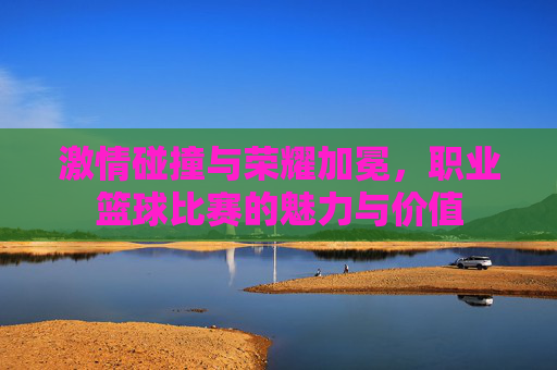 激情碰撞与荣耀加冕，职业篮球比赛的魅力与价值