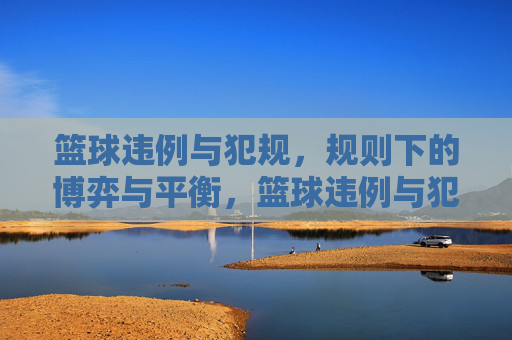 篮球违例与犯规,规则下的博弈与平衡,篮球违例与犯规,规则下的博弈与平衡