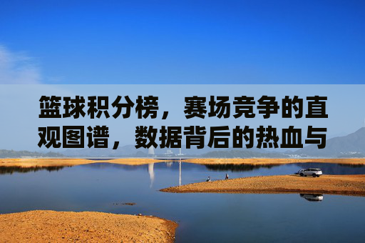篮球积分榜，赛场竞争的直观图谱，数据背后的热血与博弈，篮球积分榜，赛场竞争的直观图谱，数据背后的热血与博弈