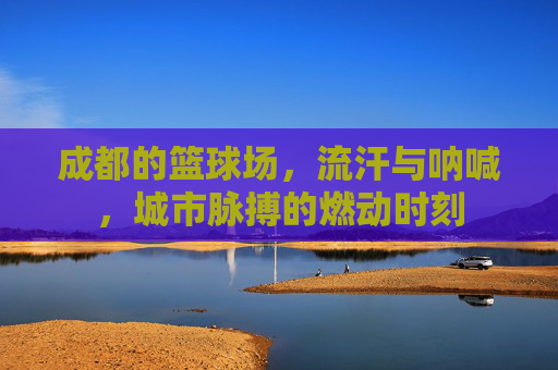 成都的篮球场,流汗与呐喊,城市脉搏的燃动时刻