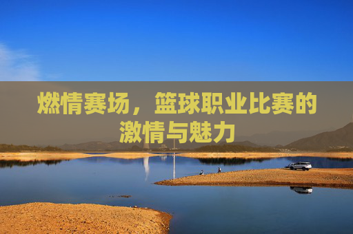 燃情赛场,篮球职业比赛的激情与魅力