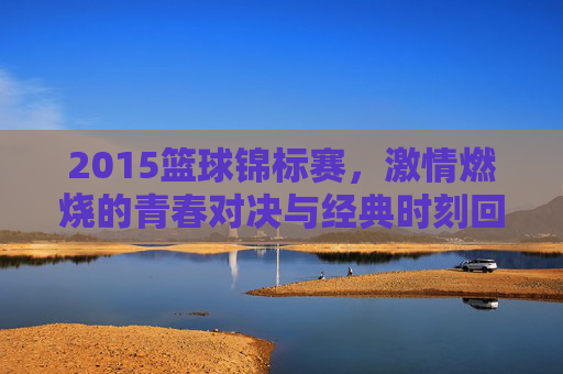 2015篮球锦标赛，激情燃烧的青春对决与经典时刻回眸，2015篮球锦标赛，激情燃烧的青春对决与经典时刻回眸
