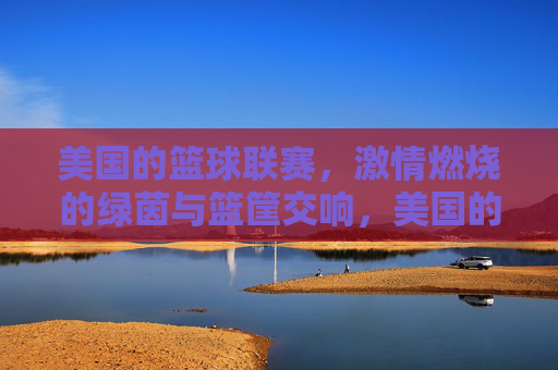 美国的篮球联赛，激情燃烧的绿茵与篮筐交响，美国的篮球联赛，激情燃烧的绿茵与篮筐交响